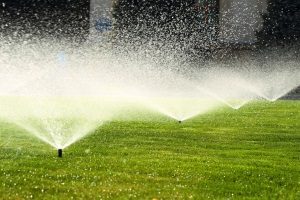 Versenkbare Rasensprenger in der „Test & Vergleich“: Was Sprinkler können sollten.