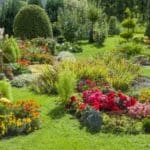 Welche Gartenpumpe wird Ihr Testsieger, um Ihr eigenes Fleckchen Erde zu versorgen?